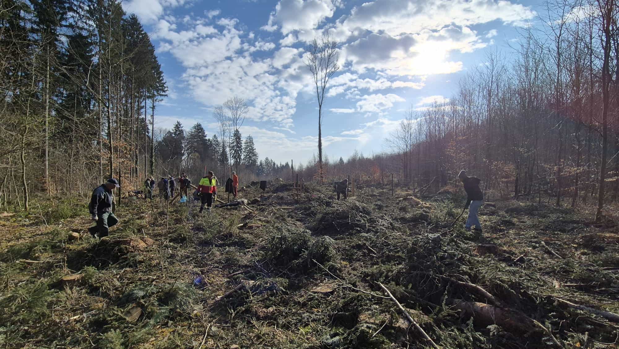 Fronen Bürgergemeinde Tägerwilen 2026_10
